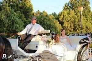 Άμαξες Γάμου άμαξες για κοινωνικές εκδηλώσεις